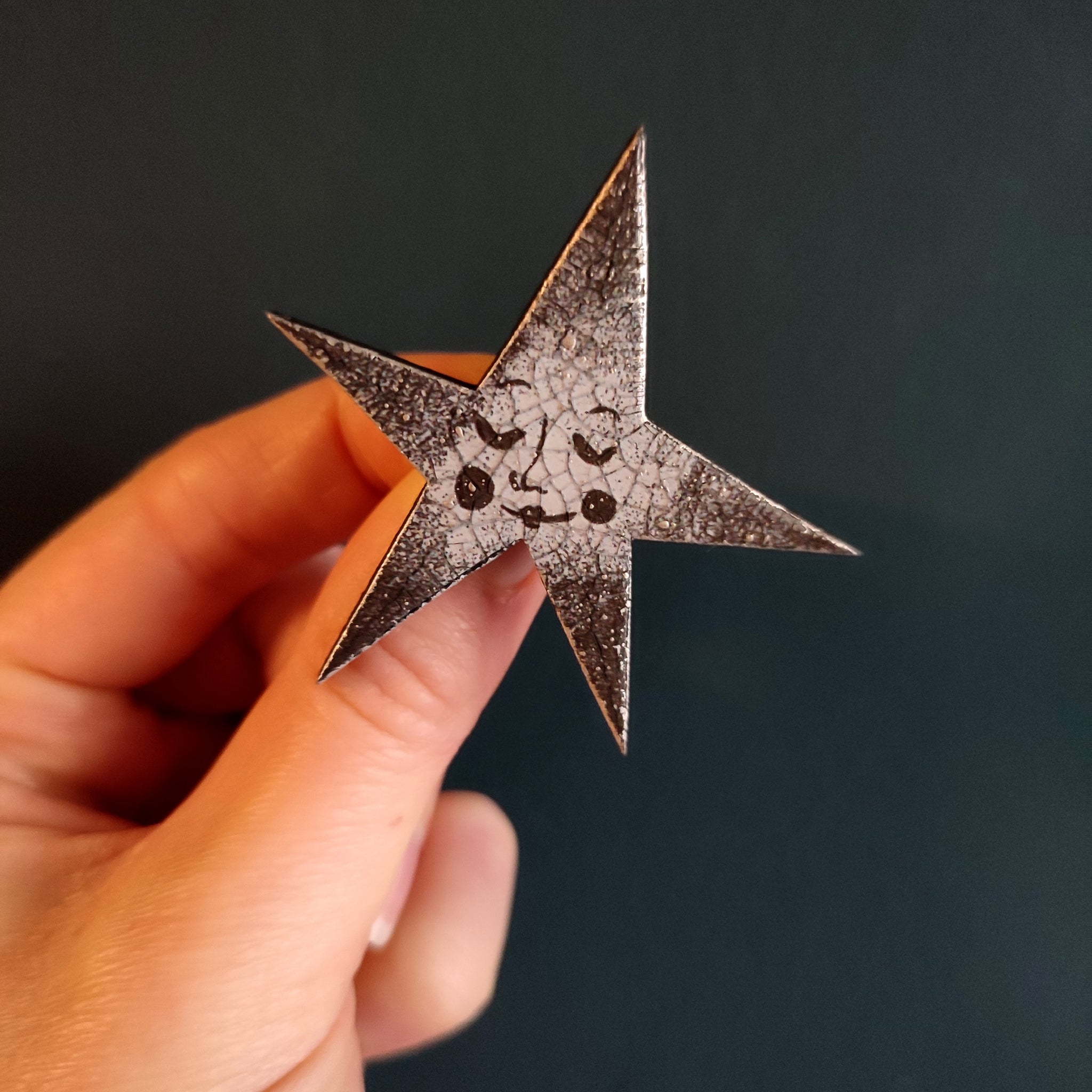 Silver & Black Star Brooch - Emily Jepps Studio