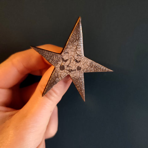 Sepia & Gold Star Brooch - Emily Jepps Studio